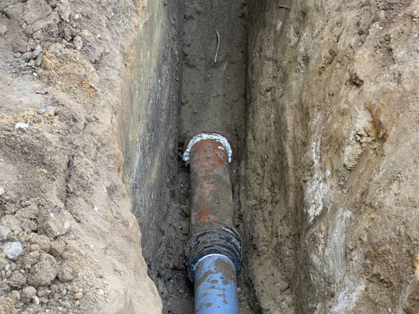 Best 24/7 water damage repair  in Stockton, IL