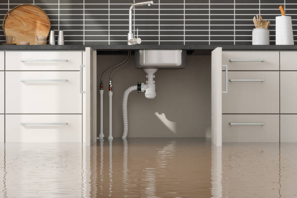  Stockton, IL Water damage restoration Pros